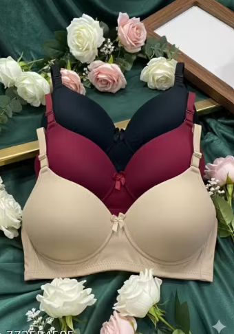 Women Full Coverage Padded T-Shirt Bra Pack of 3 | Non-Wired Seamless Everyday Bra Combo